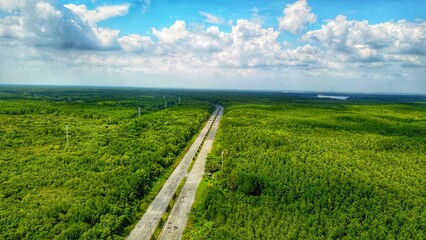 Can Gio Mangrove Forest