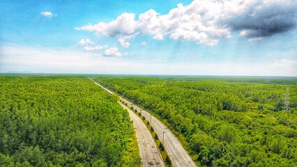 Can Gio Mangrove Forest