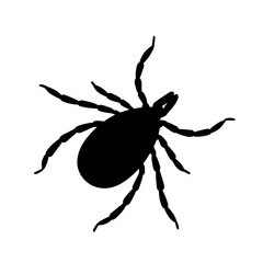 Silhouette of a Deer Tick with Delicate Legs on White Background