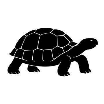Bold Black Silhouette of Desert Tortoise Highlighting Shell Patterns