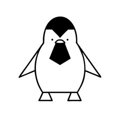 penguin on a white background