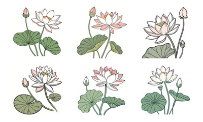 A delicate bundle of 6 flowers with petals leaves and buds on a white background