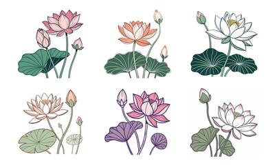 Elegant and serene vector illustrations featuring a beautiful bundle of 6 flowers and lotus designs