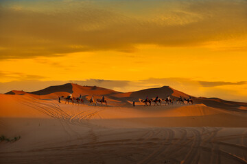 Desert camel riders on dunes at dawn.