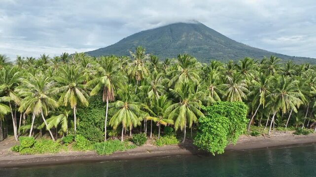 The volcanic island of Adonara, in the Lesser Sunda Islands of Indonesia, is fringed by palm trees along its coast. This tropical region supports some of the world's greatest marine biodiversity.