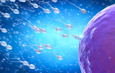 Sperm fertilize with ovum