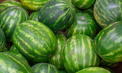 watermelon isolated on white background