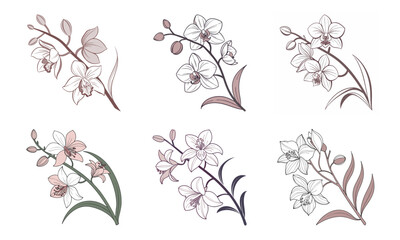 Elegant floral bundle featuring hand drawn orchid and lily botanical vector illustrations