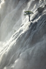A tree stands against the torrents of water cascading over Ruacana Falls, Namibia.