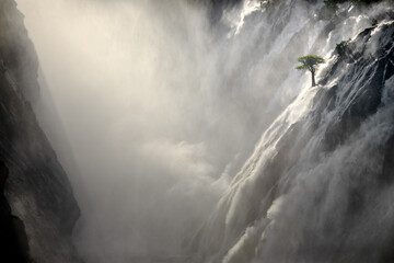 A tree stands against the torrents of water cascading over Ruacana Falls, Namibia.