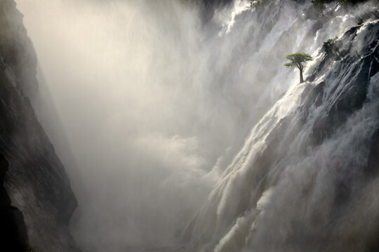 A tree stands against the torrents of water cascading over Ruacana Falls, Namibia.