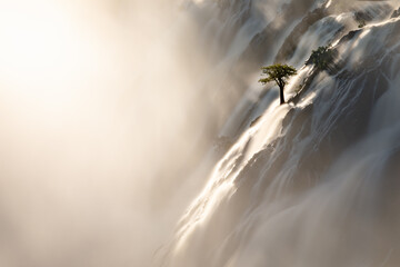 A tree stands against the torrents of water cascading over Ruacana Falls, Namibia.