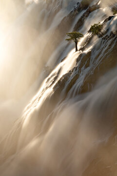 A tree stands against the torrents of water cascading over Ruacana Falls, Namibia.