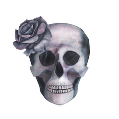 Scull with roses in the eye gothic magical texture isolated on white background. Watercolor hand drawn esoterics skull illustration. Art for design mystical halloween witch decoration, scary card