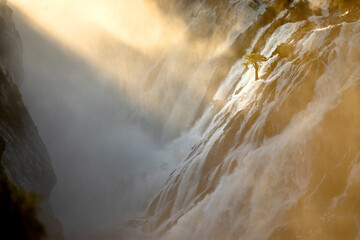A tree stands against the torrents of water cascading over Ruacana Falls, Namibia.