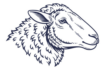 A detailed sheep head illustration shows strong linework on a white background