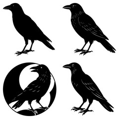 Four black raven silhouettes in various poses one with a crescent moon in the background art image