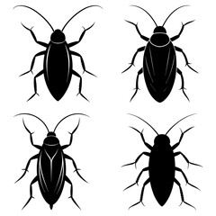 Four black cockroach silhouettes with detailed legs and antennae on a white background displayed neatly