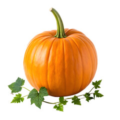 pumpkin isolated on a transparent background