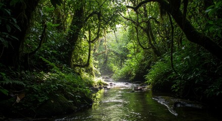Fototapeta premium Lush Green Rainforest with Sunlit Stream