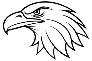 Black and white eagle head displays sharp focus and a stoic expression