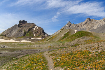 Mountain panorama with summits Dent de Chamosentze and Tete aux Veillon in Swiss Alps, Switzerland
