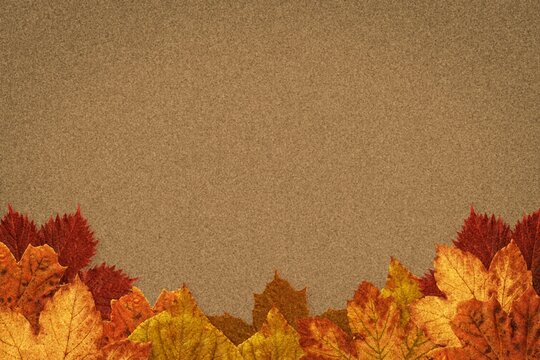 Fototapeta Flat design border is showing layered autumn leaves lining corkboard texture background, copy space