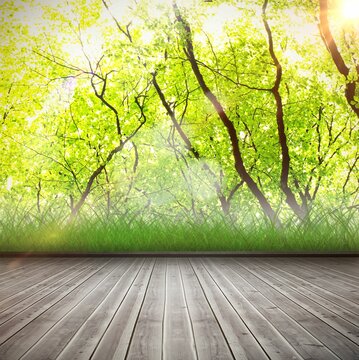 Fototapeta Vector flat design is depicting plank deck meeting grassy edge under forest canopy with lens flares