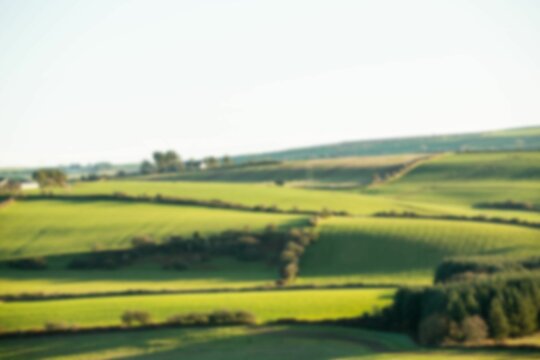 Fototapeta Scenic view of meadow land against sky