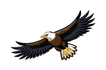 flying bald eagle vector white background