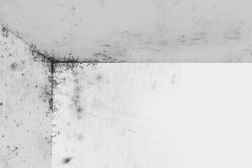 Flat design moldy corner illustration showing damp plaster walls merging at seam with grime streaks