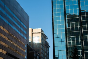 View of modern office buildings