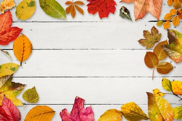 Naklejka premium Autumn leaves fallenAutumn leaves fallen on wooden background