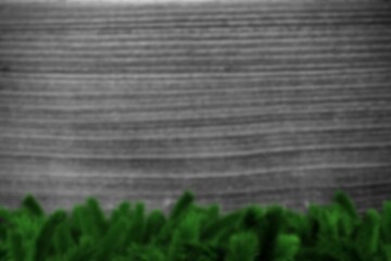 Obraz premium Blurred fir branches on wood