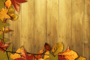 Obraz premium Slender autumn leaf branch is resting on honey-toned wooden plank flat vector design