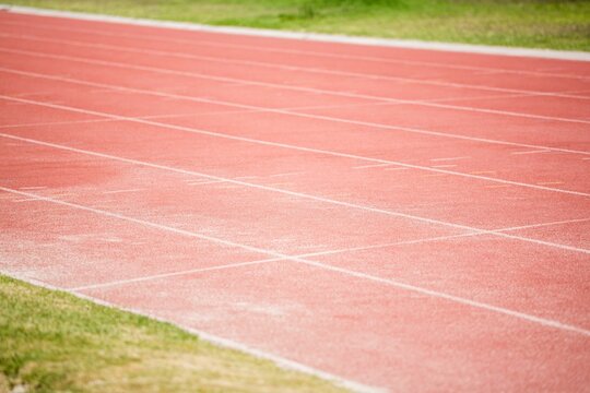 Fototapeta Empty running track is stretching under daylight in flat design with white lanes and grass border