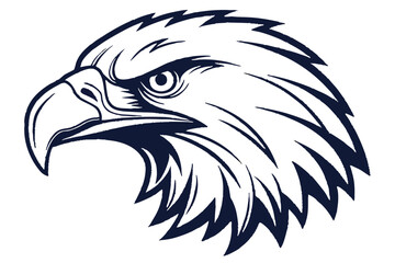 Majestic eagle head showcases a detailed line art style with intense eyes