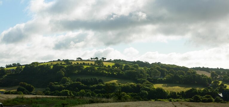 Fototapeta Sunlit hillside section is showcasing flat design farmland with hedgerows and tree clusters