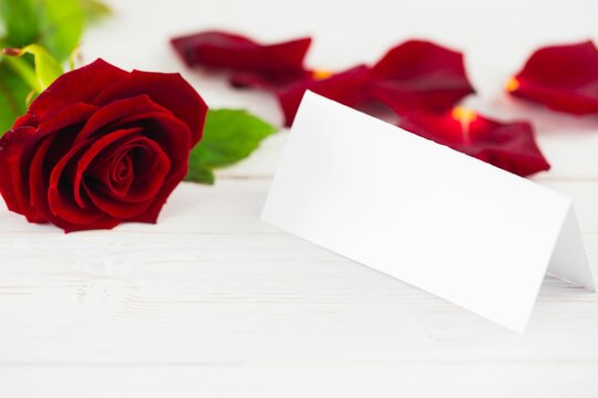 Fototapeta Flat illustration is showing folded white tent card atop pale wood tabletop with red rose petals