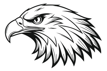 Detailed black and white rendering reveals an eagle head looking right attentively