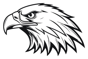 Monochrome eagle head displays a serious expression with strong, angular features