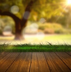 Wooden deck is showing flat design sunlit backyard with green grass, blurred tree trunk, lens flare