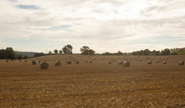 Fototapeta Hay bale on farm field against cloudy sky