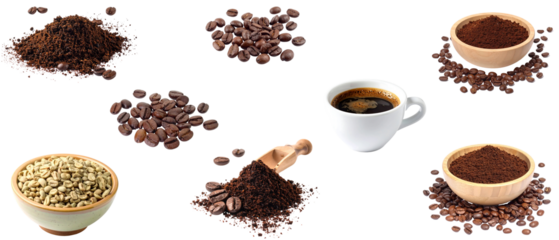 Flat composition showing the coffee cycle from raw green coffee beans, roasted coffee beans and ground coffee to a cup of brewed coffee, isolated on a transparent background.