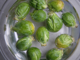 Fresh Brussels sprouts soaking in water for cleaning