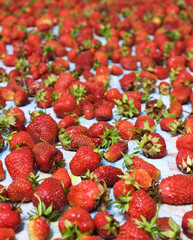 strawberries