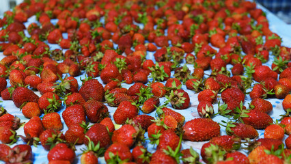 strawberries