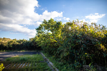 Sunset at Kurosaki, Yakushima, Kagoshima Prefecture, Japan