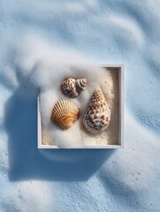 Three seashells nestled in foam within a white square box atop a light blue, foamy surface
