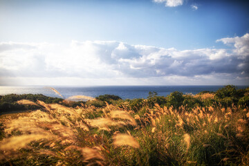 Sunset at Kurosaki, Yakushima, Kagoshima Prefecture, Japan